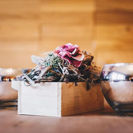 Alpin Austria Apartment *