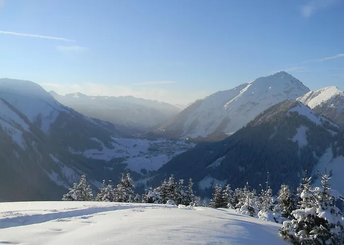 Alpin Austria Appartamento *