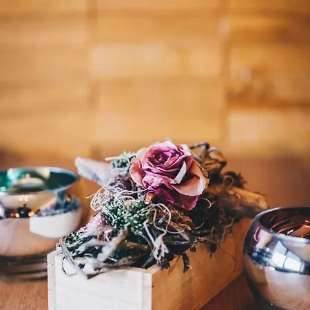 Apartman Alpin Austria